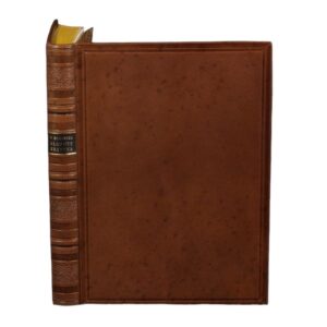 Kłopoty krytyka : Thoré-Bürger wśród prądów  epoki (1855-1869) - Hanna Morawska