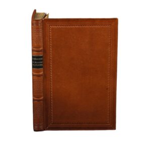 W pogoni za formą - Zygmunt Nowakowski