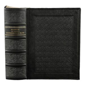 Słownik 100 tysięcy potrzebnych słów - Jerzy Bralczyk