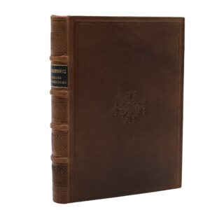 Ballada o słoneczniku i inne nowe poezye - Jan Kasprowicz