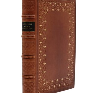 Echa przeszłości : szkice, wizerunki i wspomnienia historyczne - Kraushar Aleksander