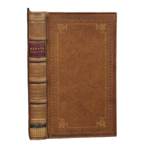 Candidate of the Everywhere, or Naylepathy - VOLTAIRE