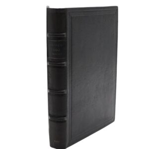 Łódź i okolice : przewodnik geograficzny - Dylik Jan