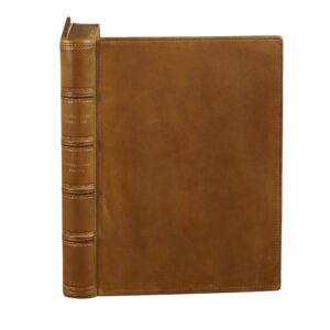 Literatura Polska : początki - rozwój - czasy ostatnie - Aleksander Bruckner