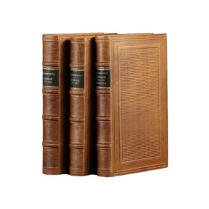 Dziennik (1953-1966). T. I-III - Witold Gombrowicz