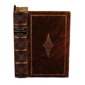 Kazimierz Wielki i Esterka : powieść historyczna z XIV wieku Alexandra Bronikowskiego. T. I-II - Alexander Bronikowski