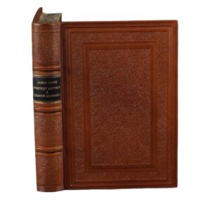 A portrait of the artist in his youth - Joyce James