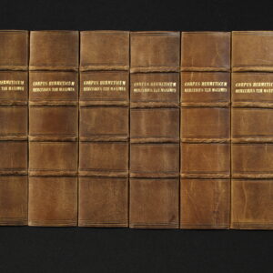 MAXIMUS panel ridges