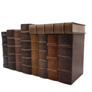 Spatial panels, 3D - Copernicus.