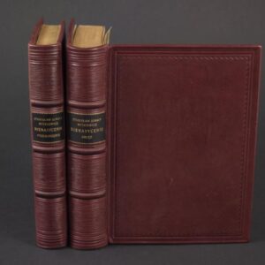 Witkiewicz Stanisław Ignacy, Nienasycenie : powieść. Cz.I-II, Przebudzenie, Obłęd