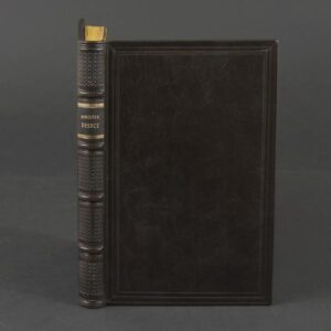 Mrożek Sławomir, Deszcz