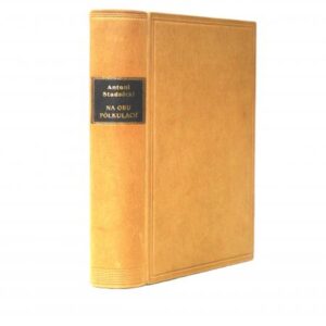 Stadnicki Antoni, In both hemispheres : impressions and letters from travels. Vol. I-II in 1 vol.