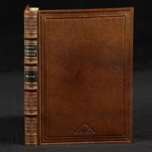 Balzac Honoré de, Komedja Ludzka, Dwaj poeci