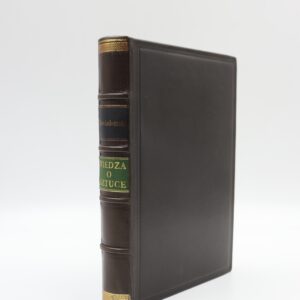 Niewiadomski Eugeniusz, Wiedza o sztuce na tle jej dziejów