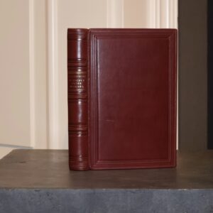 Antoni Slonimski, In a barrel across the Niagara River