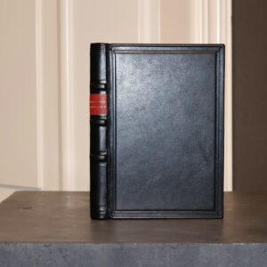 Bialoszewski Miron, Revolutions of Things