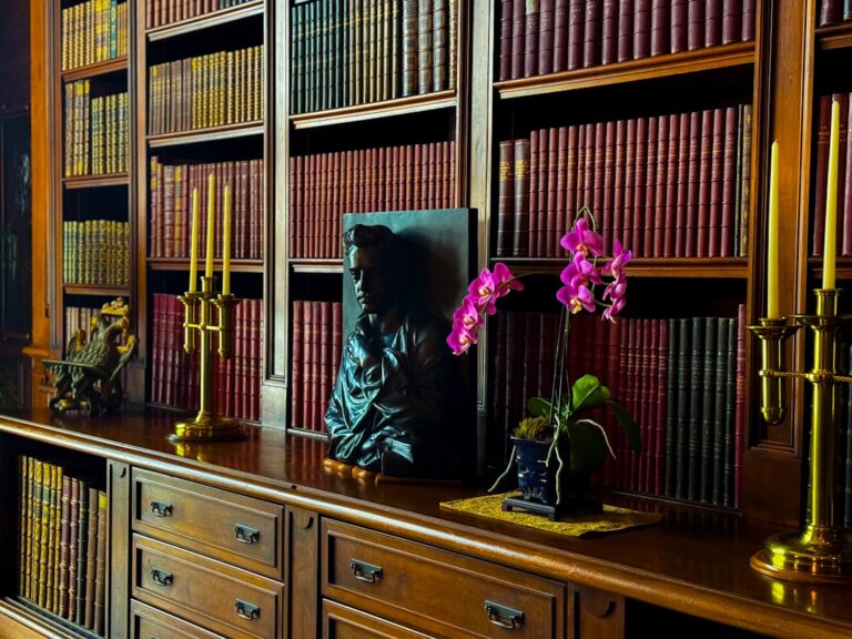 What is a book’s bibliography, and why can’t an antiquarian book dealer do without it?