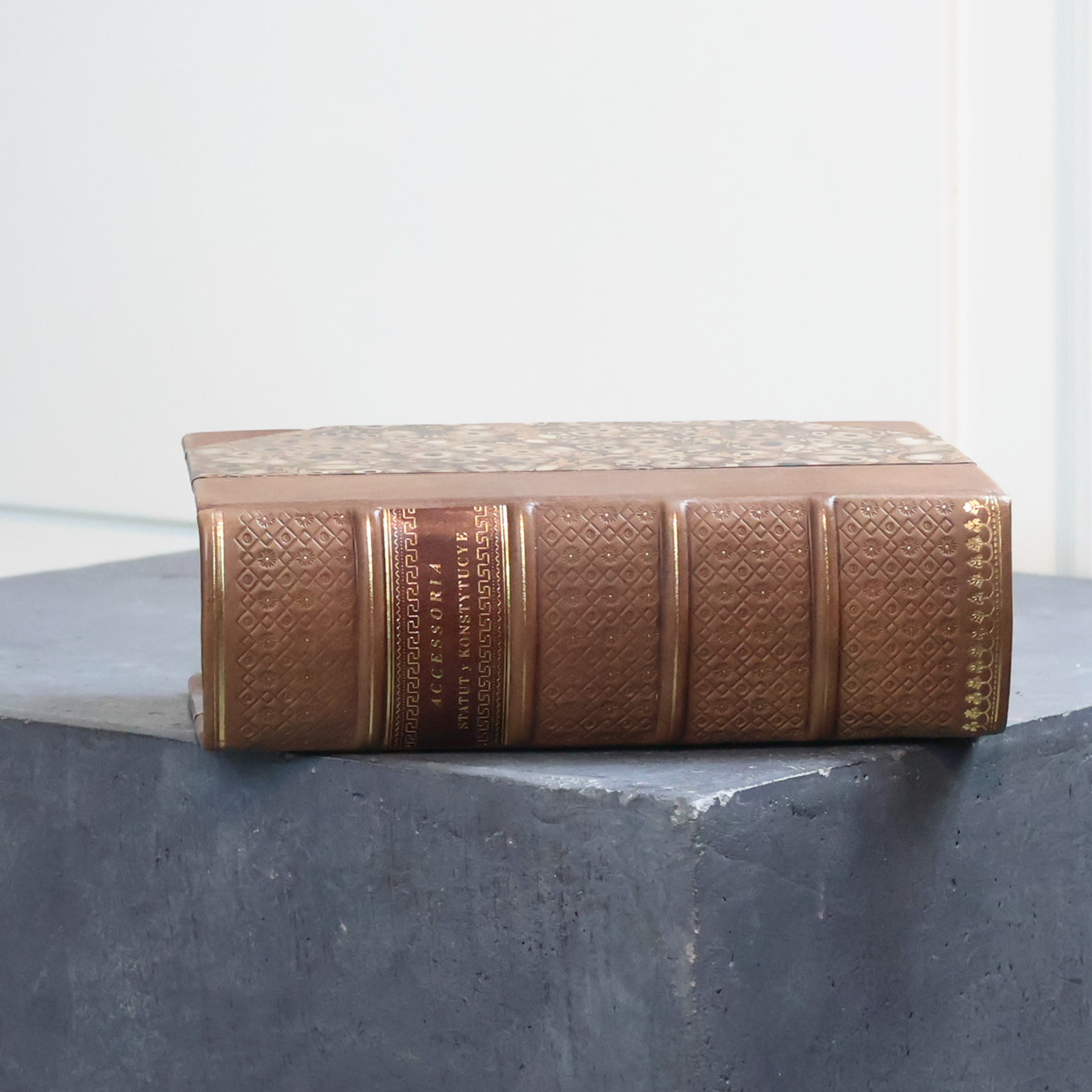 Gilded spine with a burgundy label: Accessoria, Statutes, and Constitutions